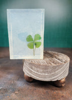 4 Leaf Clover Shamrock St Patrick's Day Handmade Soap - Shamrocks on Stems