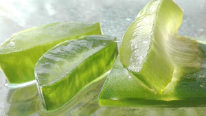 Soap Bases Explained: What are the Benefits of Using an Aloe Vera Soap Base