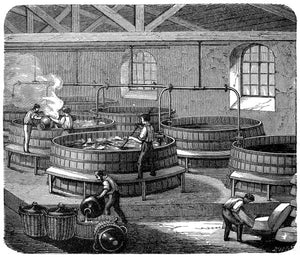 The History of Soap: From Ancient Times to Modern Bars