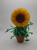 Sunflower Flower Pot Soap