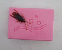 Roach on Bar of Soap