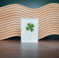 4 Leaf Clover Shamrock St Patrick's Day Handmade Soap - Shamrocks on Stems